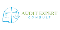 Logo audit