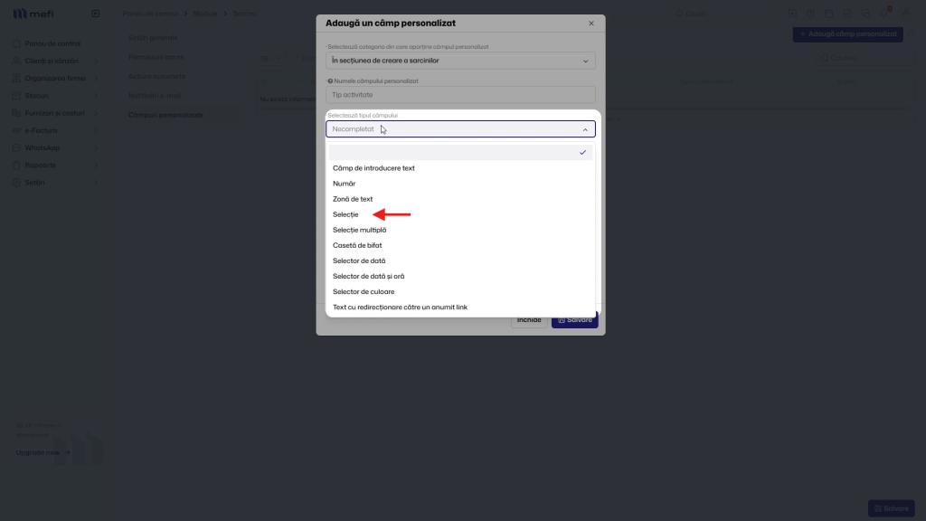 Pasul 3 - alege tipul câmpului personalizat