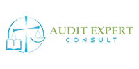 Logo audit